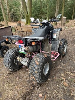 Čtyřkolka 250cc - 4