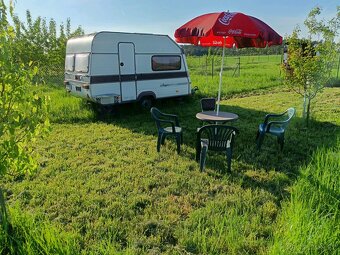 Pronájem zahrady 40 km od Prahy, Poděbrady, jezero, les - 4