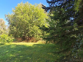 Prodej stavební parcely 1123 m3 Loučná nad Desnou Kociánov - 4