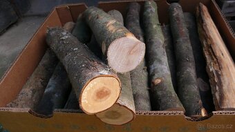 Krbova polena a zátopové dřevo - 4