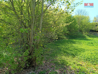 Prodej pozemku, 2141 m², Rychnov nad Kněžnou - 4