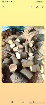 Dřevo metrové štípané - 4