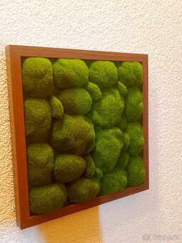 Mechový obraz 33 cm - 4