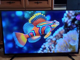 4K Smart TV 50" Hisense H50A6140-úhlopříčka 126cm - 4