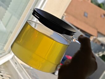 Kotvičník zemní (Tribulus terrestris) - 4