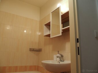 Pronájem bytu 1+kk 32m Olomouc - 4