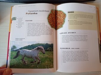 Přírodní léčba koní - Cornelia Witteková - 4
