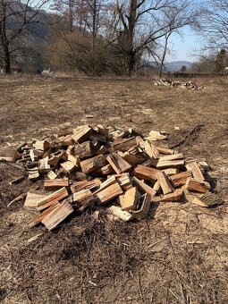 Palivové dřevo štípané - 4