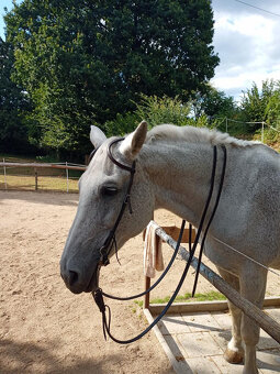 uzdečka westernová - 4