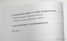 Kniha Evropské instituce jako zájmová skupina - 4