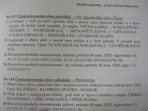AE medaila 1920 VII. slet autor J.Šejnost - 4