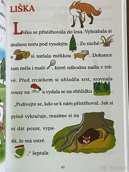 PŘÍBĚHY ZVÍŘÁTEK - ABECEDA - 4