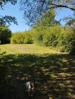 Prodám zahradu, OV, 895m2, Trpišov - Slatiňany - 4