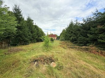 Stavební pozemek 973 m2 – Staré Sedliště, okres Tachov - 4