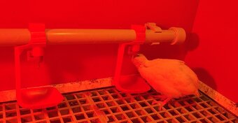 Napajeci system - niplova napaječka - 4