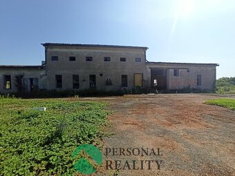 Pronájem skladovací plochy 15.000 m² - Krakovany - Božec - 4