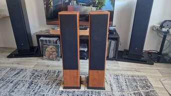 Acoustic Energy Aegis Evo Three - 4