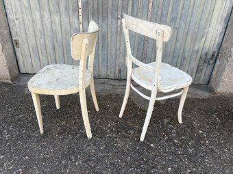 Židle Thonet - 4