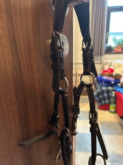 Kentaur Torino 2200 - 4