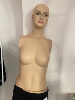 Figurína plussize, plnoštíhlá 44/46 vybavení obchodu - 4