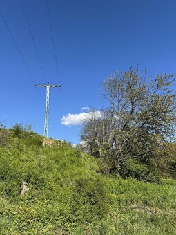 Prodám lesní pozemky v k.ú. Žďárek u Sychrova - 4