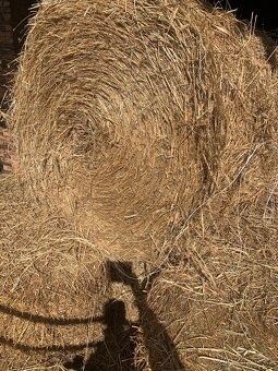 Nová sklizeň Vojtěškové seno,vojtěška,jetel ,sláma - 4