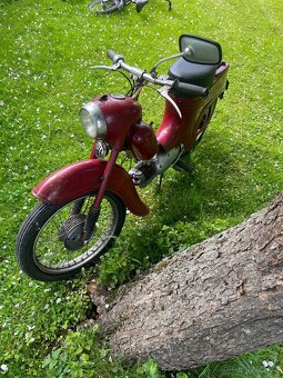 jawa 555 pařez - 4