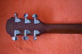 Dreadnought ARIA AD35 - 4