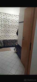 Pronájem bytu 2 kk - 4