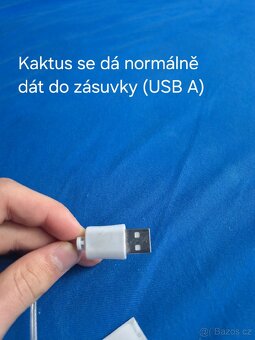 NEON LIGHT KAKTUS - 4