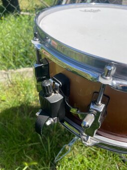 Sonor Force 3005 Full Maple 14x5,5 - 4