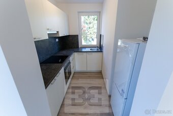 Pronájem bytu 2+kk 50 m2 s balkonem v rekonstruované vile. - 4