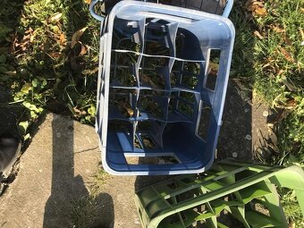 staré přepravky basy plastové na pivo a jiné 30kč/ks-Opočno - 4