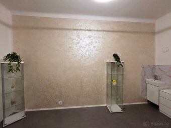 Pronájem místnosti Praha 2 - 4