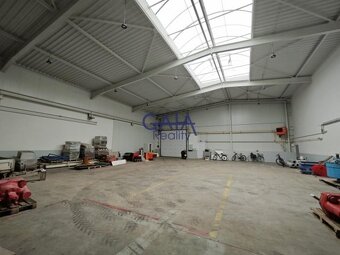 Lužice - Pronájem zmodernizované haly 450 m² - 450m2 - 4