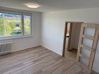 Pronájem bytu 1+1 33m2 Žamberk Dlouhoňovice - 4