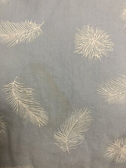 Peřina péřová - 4