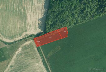 Zemědělská půda, prodej, Olešník, České Budějovice - 4