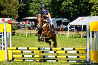 Pony B do sportu - 4