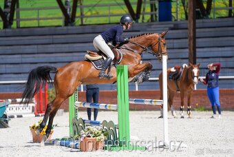 Conquistador x Cassini' s Son, TOP-charakter - 4