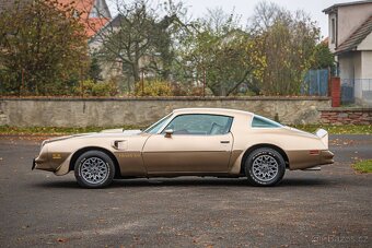Pontiac Firebird  1977 - 4
