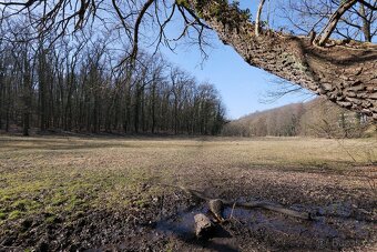 Panasonic S 5d + objektiv 18-40 - 4
