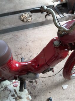 JAWA 550 pařez - 4