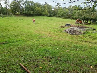 Zahrada v intravilánu obce, výměra: 7.428 m2. - 4