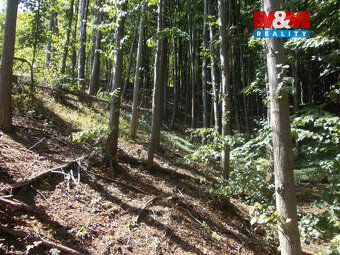 Prodej chaty, 36 m², Pstruží - 4