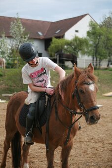 POLOVIČNÍ PRONÁJEM - 4