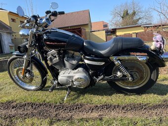 HD Sportster xl custom 883 - 4