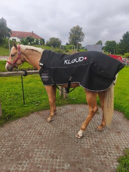 Pronájem magnetické deky pro koně i jezdce - 4