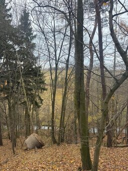 Prodej lesního pozemku v k.ú. Otinoves - 4