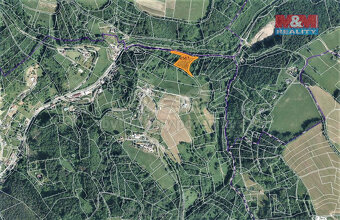Prodej lesa, 3547 m², Koberovy - 4
